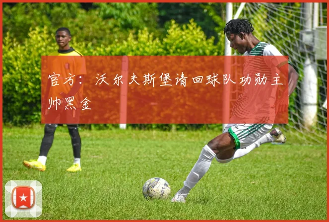 官方：沃尔夫斯堡请回球队功勋主帅黑金