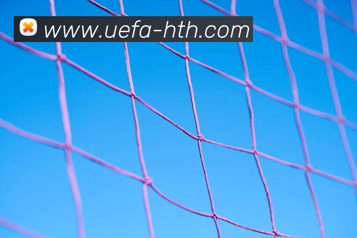 数据防护可视化